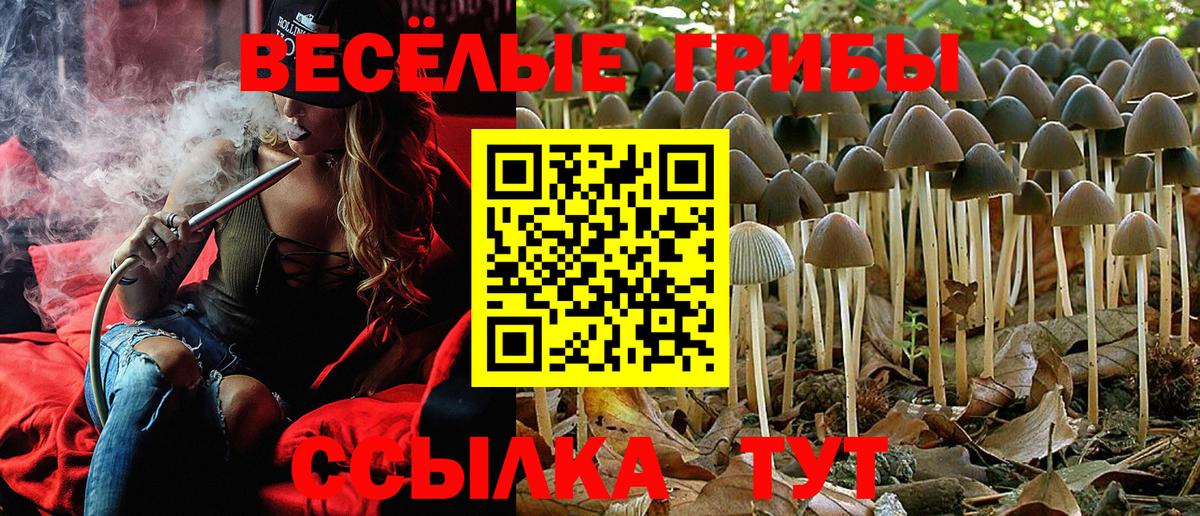 Псилоцибиновые грибы прущие грибы  Вход с VPN  Мурино 